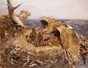 シーイーグルズネスト、1907